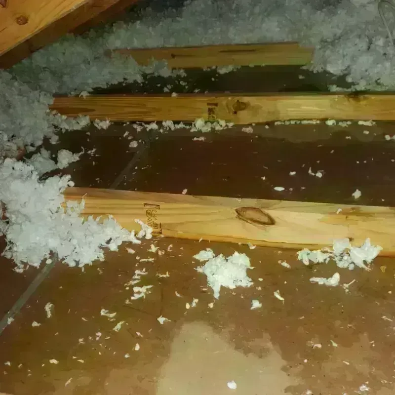 Attic Water Damage in DuBois, PA